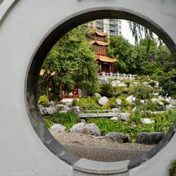 Chinese garden