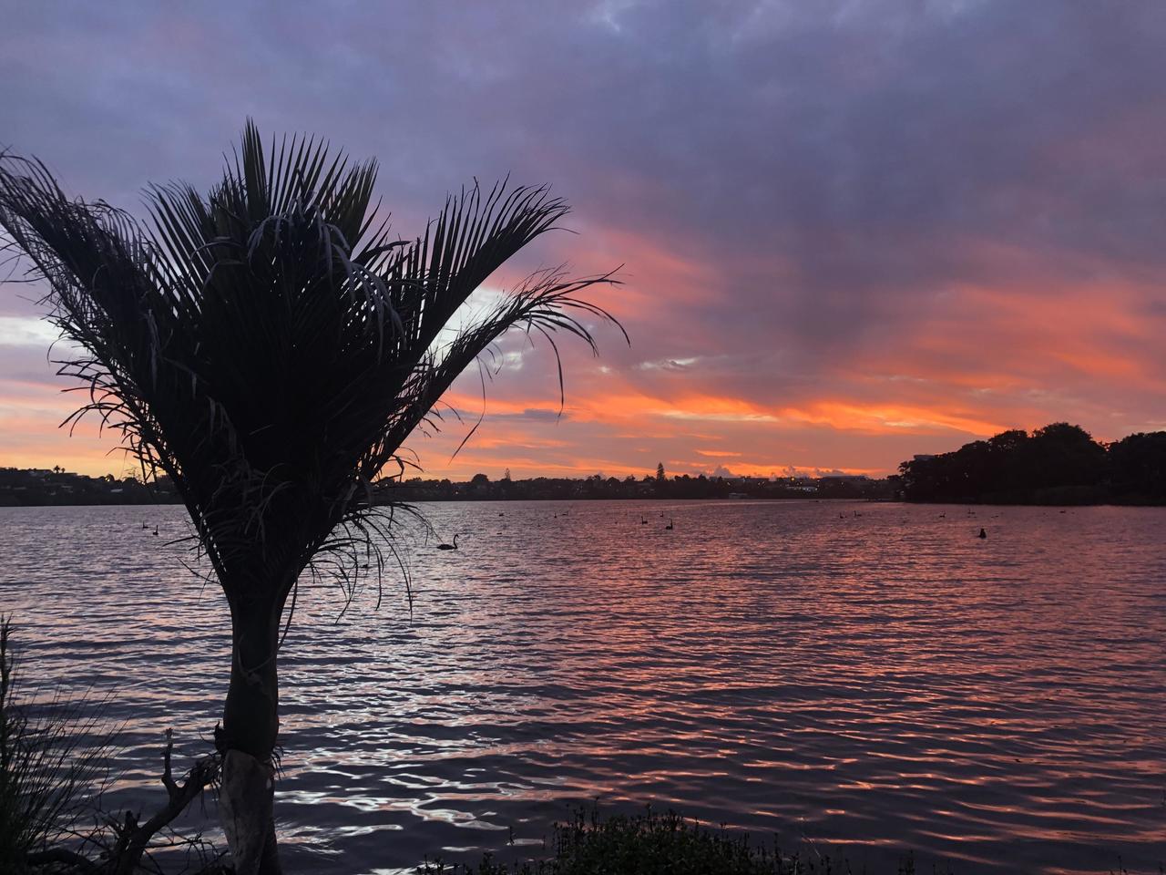 Lake Pupuke 26.11.