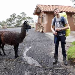 Franz und Lulu Llama