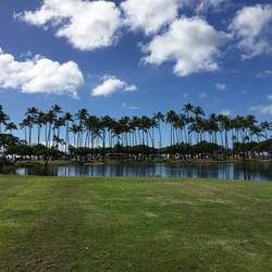 🌴🌴🌴
