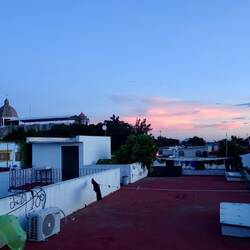 Aussicht von der Dachterasse