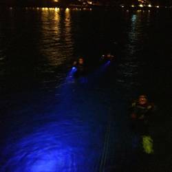 Took 72 minutes - My first night dive in the Red Sea!