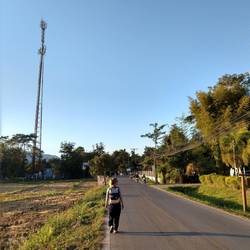 Unser Weg in die Stadt