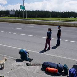 Busstoppen an der Autobahn