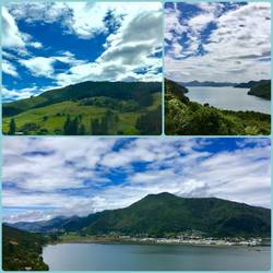 Beautiful scenery along the way - green rolling hills and Queen Charlotte Sound