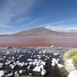 Laguna Colorado