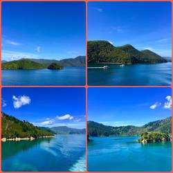 Gorgeous views through the islands of Queen Charlotte Sound - not that different from our BC coast