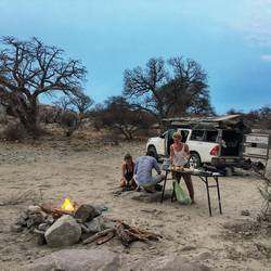 Kurz vor der Käferattacke