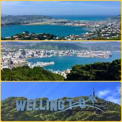 Views from the Mount Victoria Lookout, and the Wellington sign!
