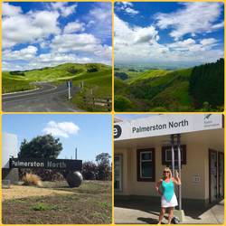 Beautiful scenery along the way, Palmerston North