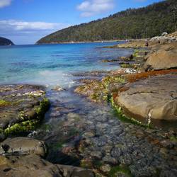 Fortescue Bay