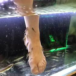 I sped this up a bit - the fish don't actually move that fast😀