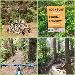 Trail decoration and sign, and happily riding along