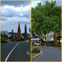 Christmas decorations in downtown Rotorua