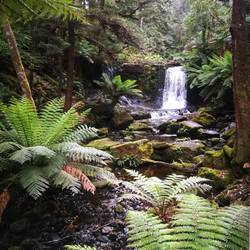 Horseshoe Falls