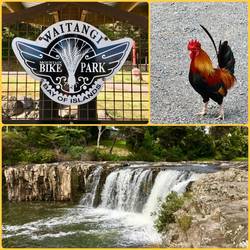 Mountain bike park, rooster and waterfall at Haruru