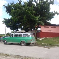 Colectivo