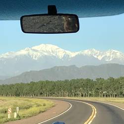Blick auf fast 7000m hohe Berge über Weinreben