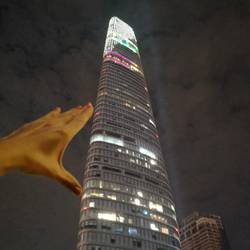 Bitexco Tower 265m