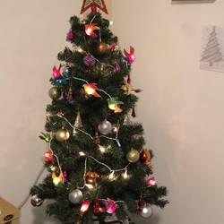 Our tiny, lovely Christmas tree, courtesy of our hosts Han and Jiw.