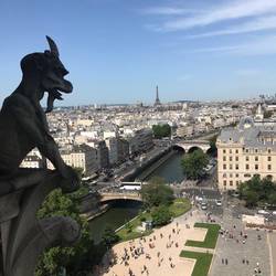 Notre Dame