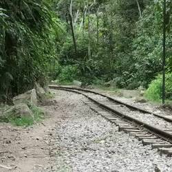 Auf dem Weg nach Machu Picchu Pueblo kommen uns auch Züge entgegen