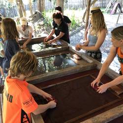 Here we take the poo pulp balls and squish them onto the plastic screen in the water