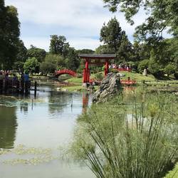 Der japanische Garten zieht die Massen an...