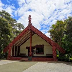 Te Whare Rūnanga (the House of Assembly) 