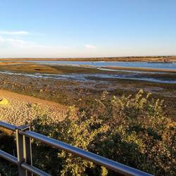 Walking on the boardwalk. The tide is out.