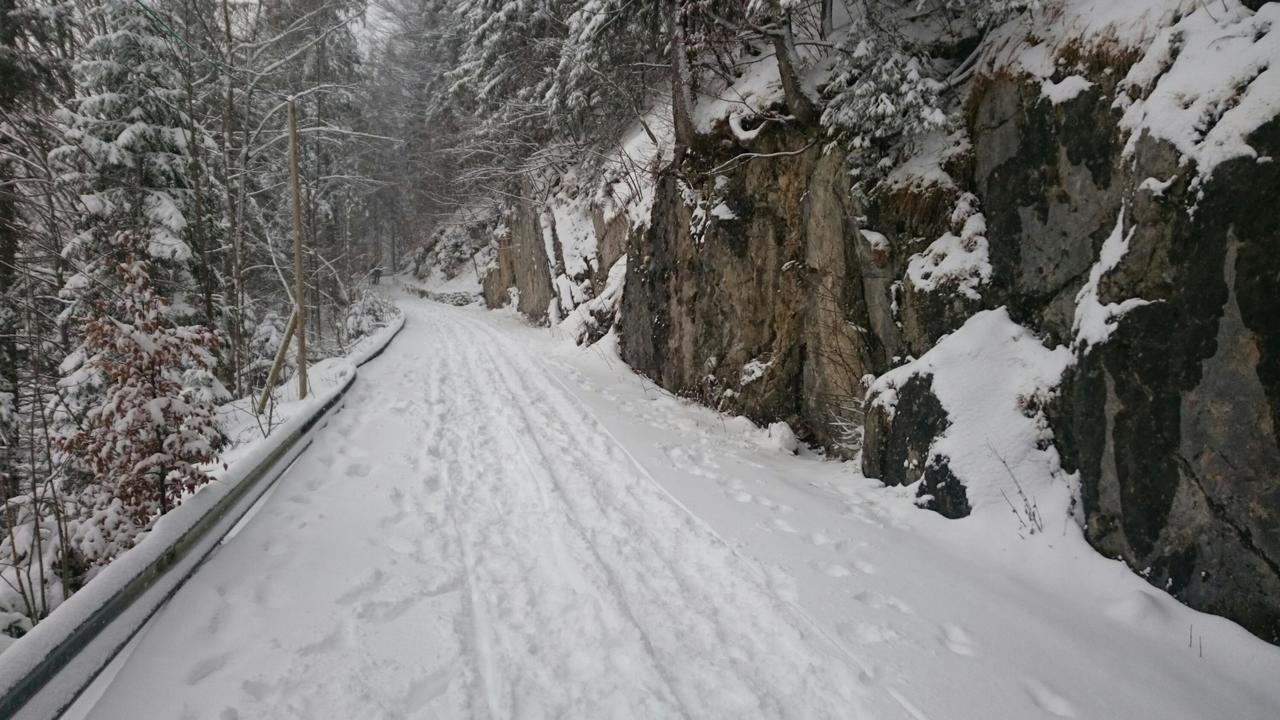 Wanderweg und/oder Rodelbahn ..