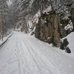 Wanderweg und/oder Rodelbahn ..