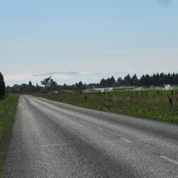 Wolk of berg..... En wat voor berg dan???