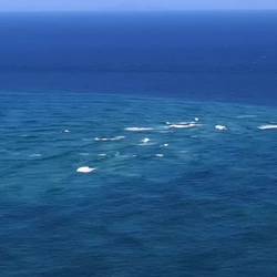 Hier sieht man wie die Tasmansee und der Pazifik aufeinandertreffen - sehr beeindruckend!