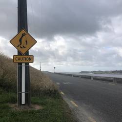 Greymouth