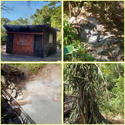 Dampfsauna, heisses Schlammloch, Hot spring, ein mit Kakteen bewachsener Baum