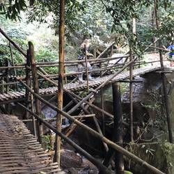 Bridge made from bamboo (not even scary to walk on).