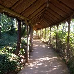 Walkway to main house