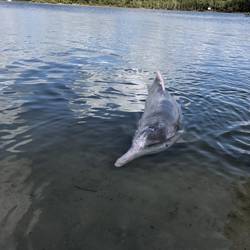 Mystical - den wir füttern durften