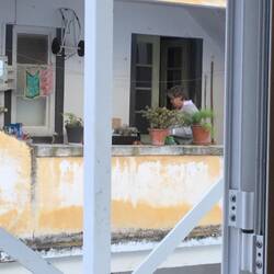 Up close...the lady next door feeding the cats.