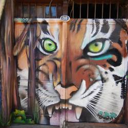 Ein Bild - Zwei Türen