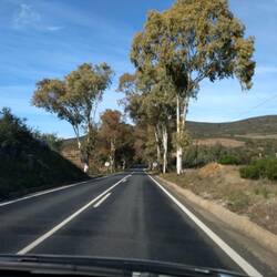 Most of our drive was a lovely road with little traffic
