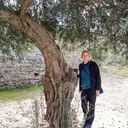 Connie under an olive tree