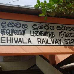 Singhales - Tamil - English
