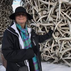 Archway Made of Elk Antlers