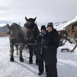 Our Horses, Steel and Flint