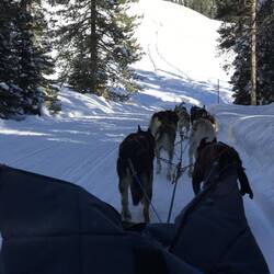Palpable Chill in the Shade