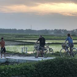 Sunset bike ride through the rice paddies