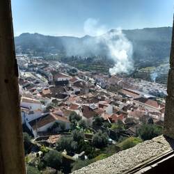 Fired burning off dry and dead leaves, to prevent forest fires.