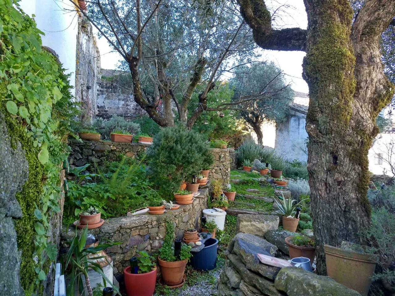 House within the castle have lovely potted flowers.